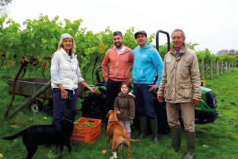 Glyndwr Vineyard