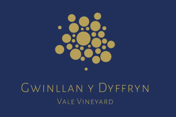 Gwinllan y Dyffryn - Vale Vineyard