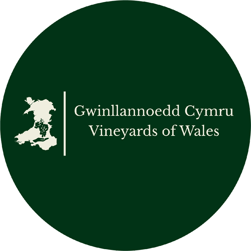 Gwinllannoedd Cymru | Vineyards of Wales