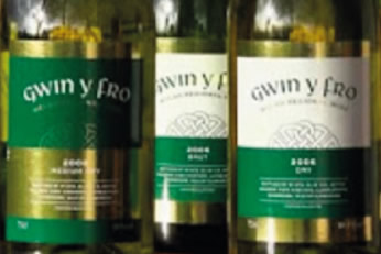 Meadow View Vineyard