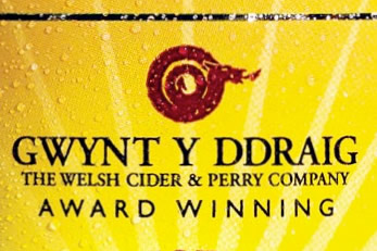 Gwynt Y Ddraig