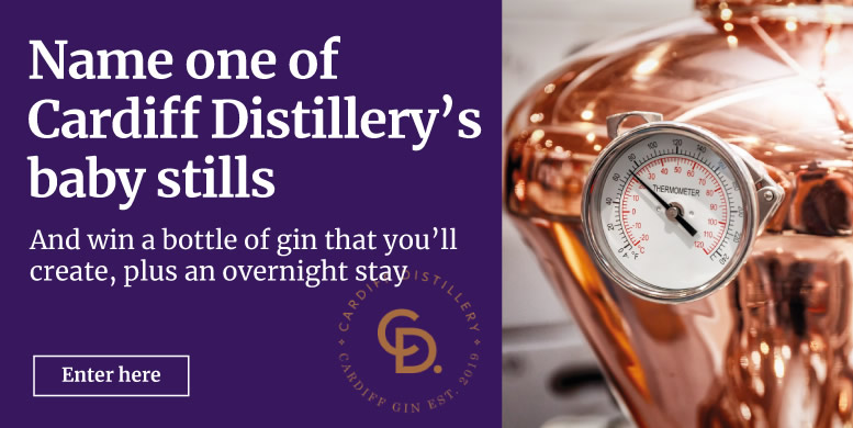 Name one of Cardiff Distillery's baby stills - Enter here