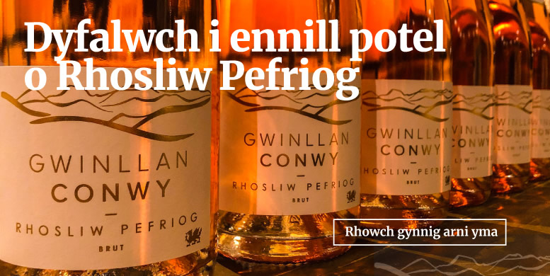 Dyfalwch i ennill potel o Rhosliw Pefriog - Rhowch gynnig arni yma
