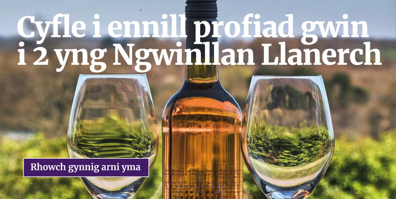 Cyfle i ennill profiad gwin i 2 yng Ngwinllan Llanerch - Rhowch gynnig arni yma