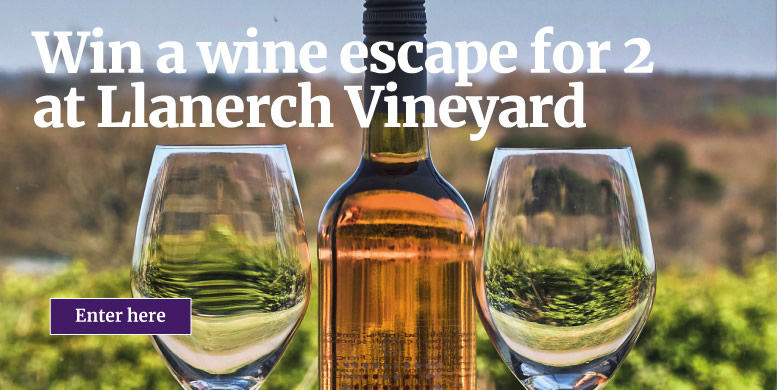 Win a wine escape for 2 at Llanerch Vineyard - Enter here