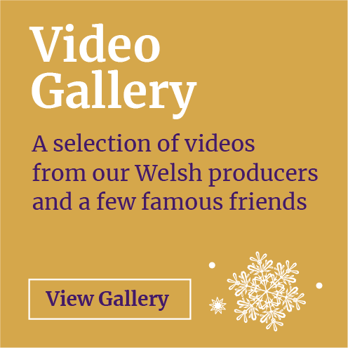 Video Gallery