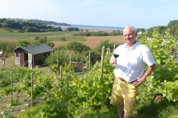 Red Wharf Bay Vineyard