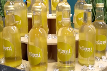 Teioni Kombucha